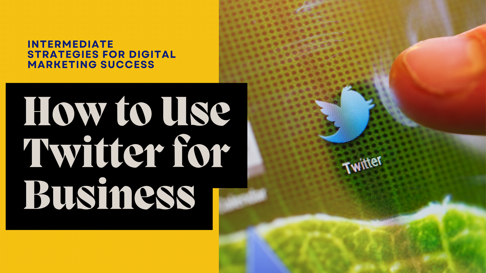 How to Use Twitter for Business